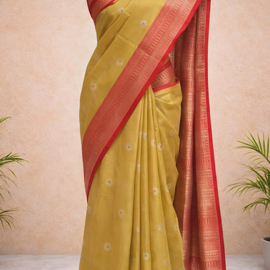 Yellow saree with red border video